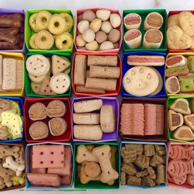 Foods Animals Color