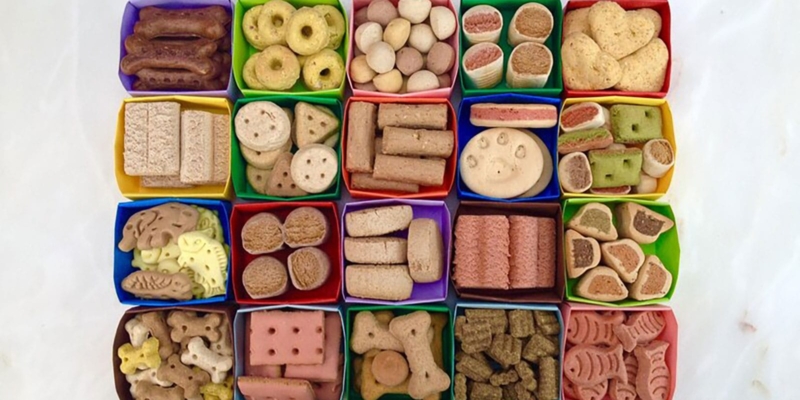 Foods Animals Color